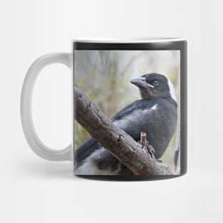 Baby Magpie 1 Mug